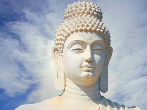 buddha beelden